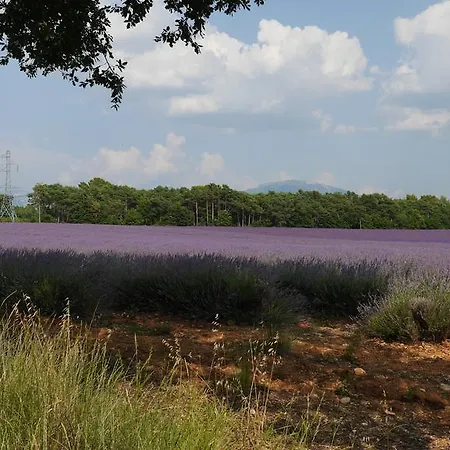 Les De La Chérine Сasa de vacaciones Quinson