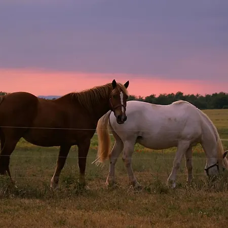 Сasa de vacaciones Les De La Chérine *